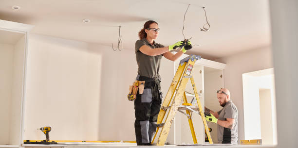 Best Electric Panel Repair  in Franklin, TX